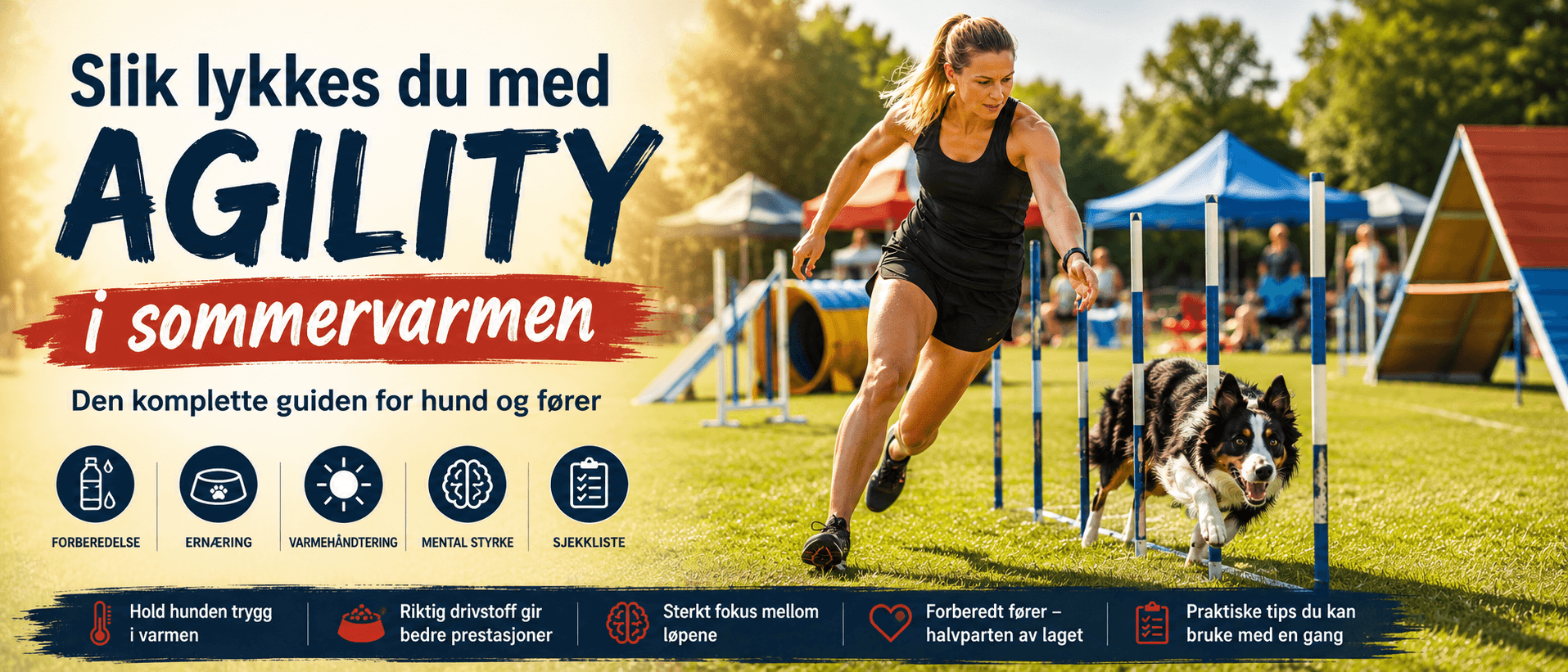 Slik lykkes du med agility i sommervarmen – den komplette guiden for hund og fører